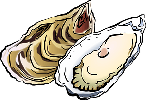 Oysters