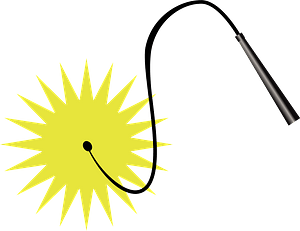 Whip Weapon