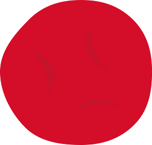Umeboshi