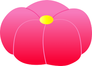Wagashi Japanese Confection