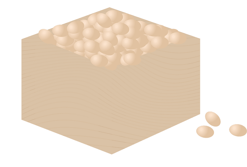 Setsubun Roasted Beans