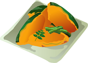 Simmered Japanese Pumpkin Food