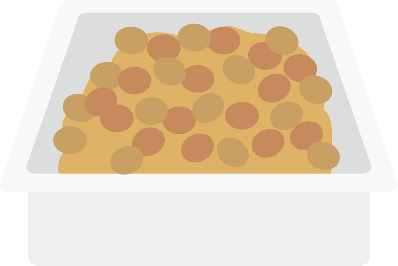 Natto Japanese Food