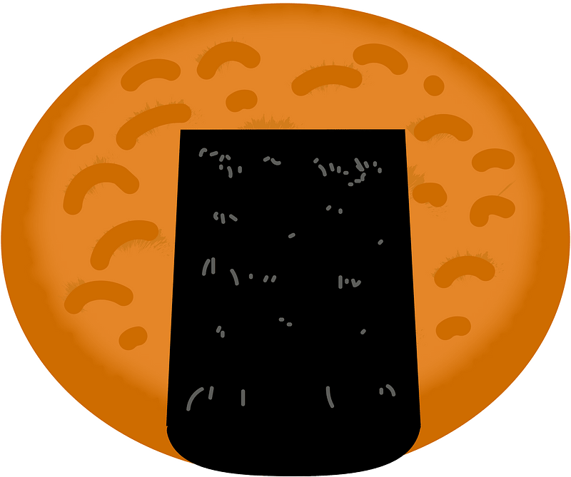 Senbei Japanese Rice Cracker