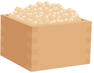 Setsubun Roasted Beans