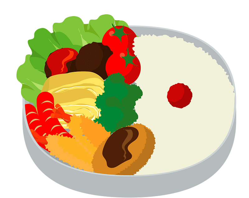 Bento Japanese Food
