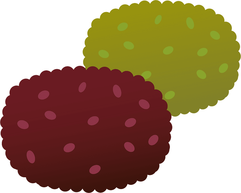 Botamochi Ohagi