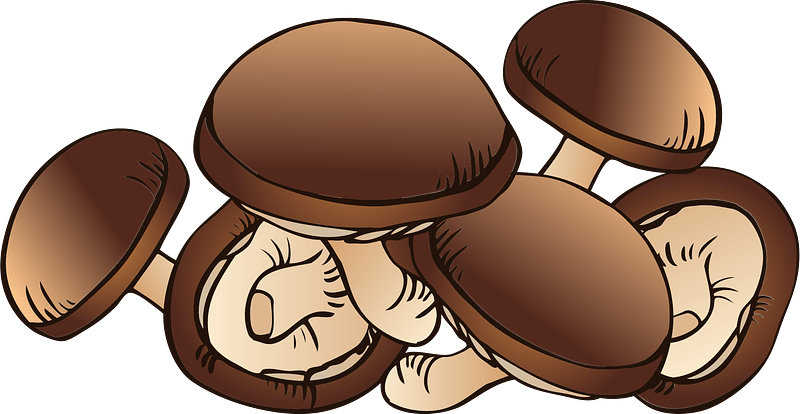 Shiitake Mushroom Food