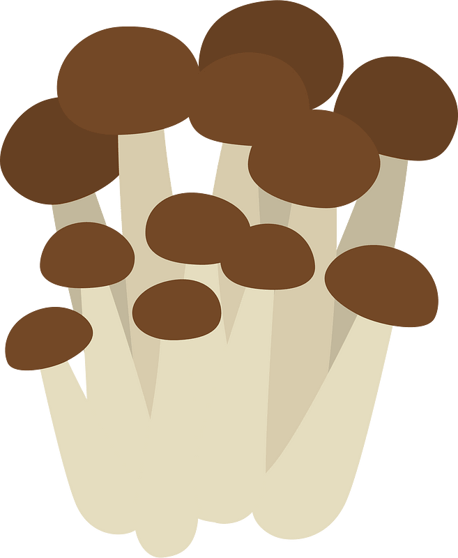 Shimeji Mushroom Food