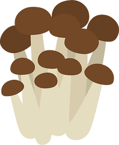 Shimeji Mushroom Food