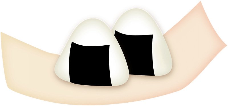 Rice Ball Food