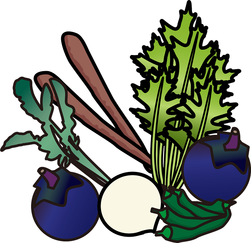 Kyoto Vegetables Food