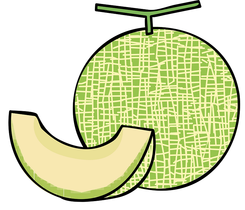 Melon Fruit Food