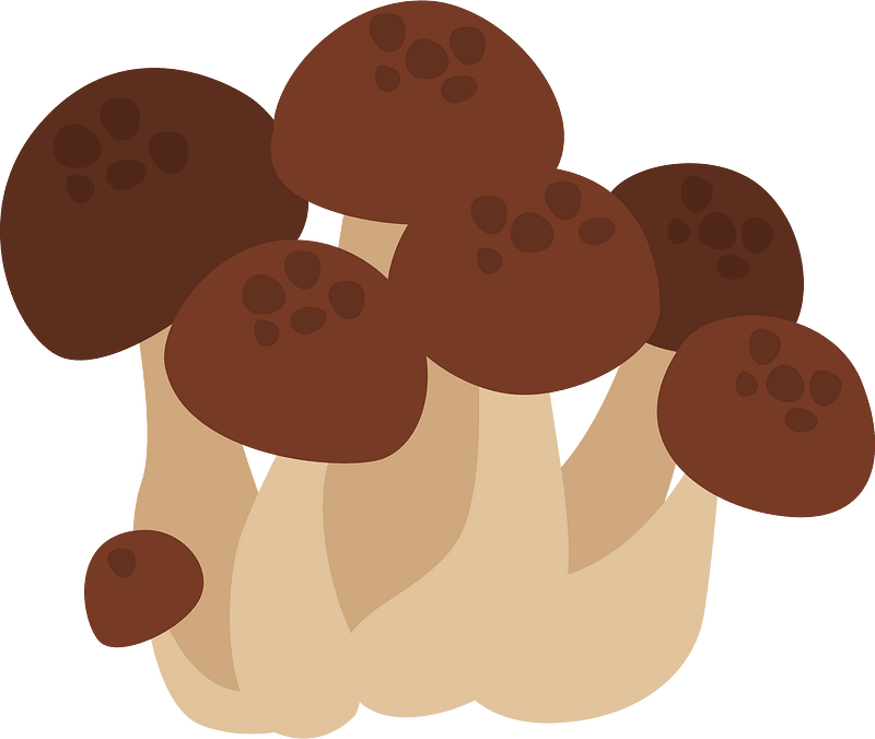 Shimeji Mushroom Food