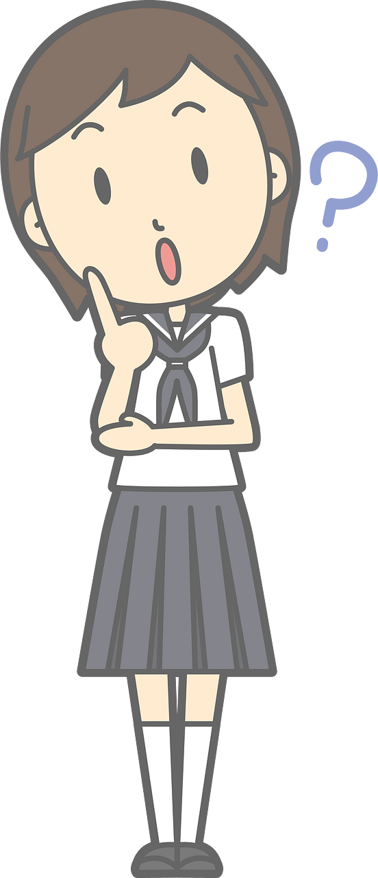 Junior High School Student