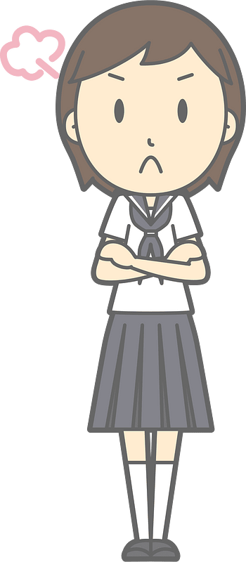 Junior High School Student