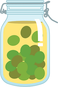 Umeshu Japanese Liqueur