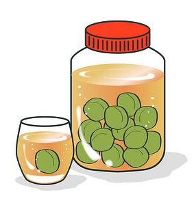 Umeshu Japanese Liqueur