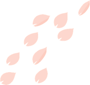 Cherry Blossoms Petal