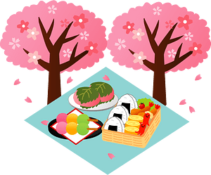 Hanami Cherry Blossoms