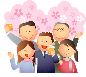 Hanami Cherry Blossoms