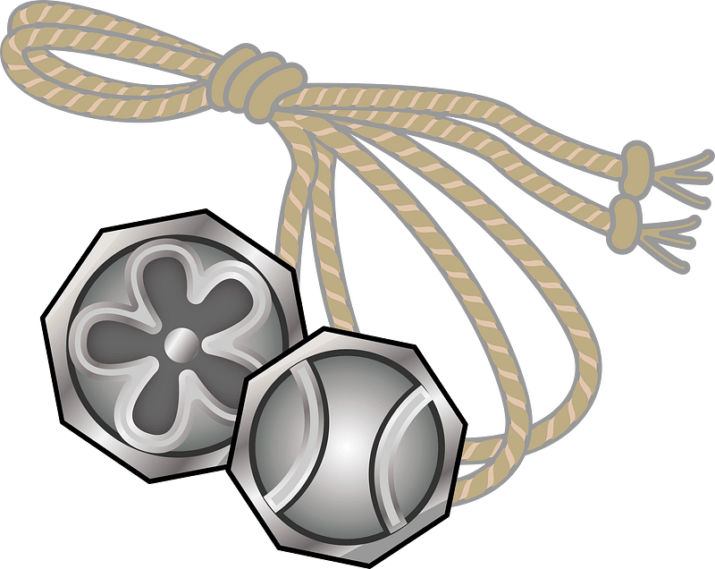 Beigoma Spinning Top