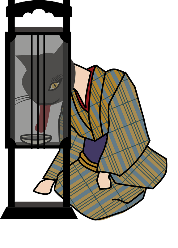 Bakeneko Changed Cat