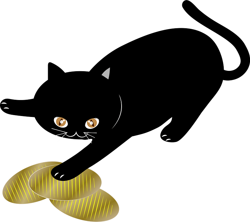 Cat Japanese Oval Gold Coin