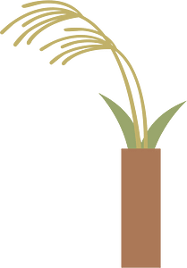 Japanese Silver Grass Tsukimi