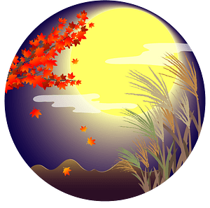 Moon Maple Japanese Silver Grass