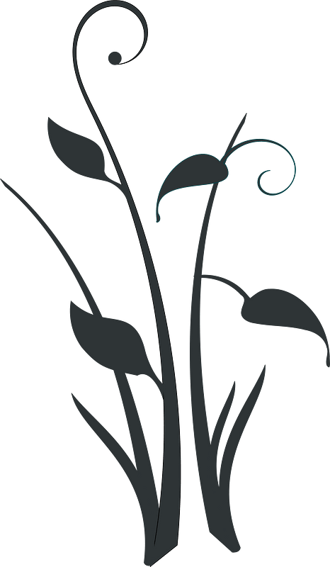Decorative Form
