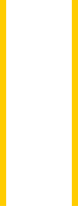 Yellow parallel light