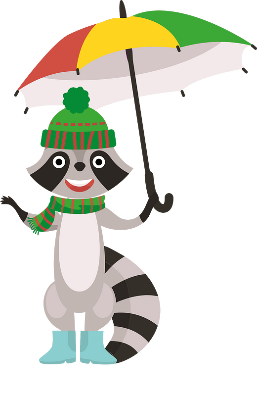 Racoon and umbrella