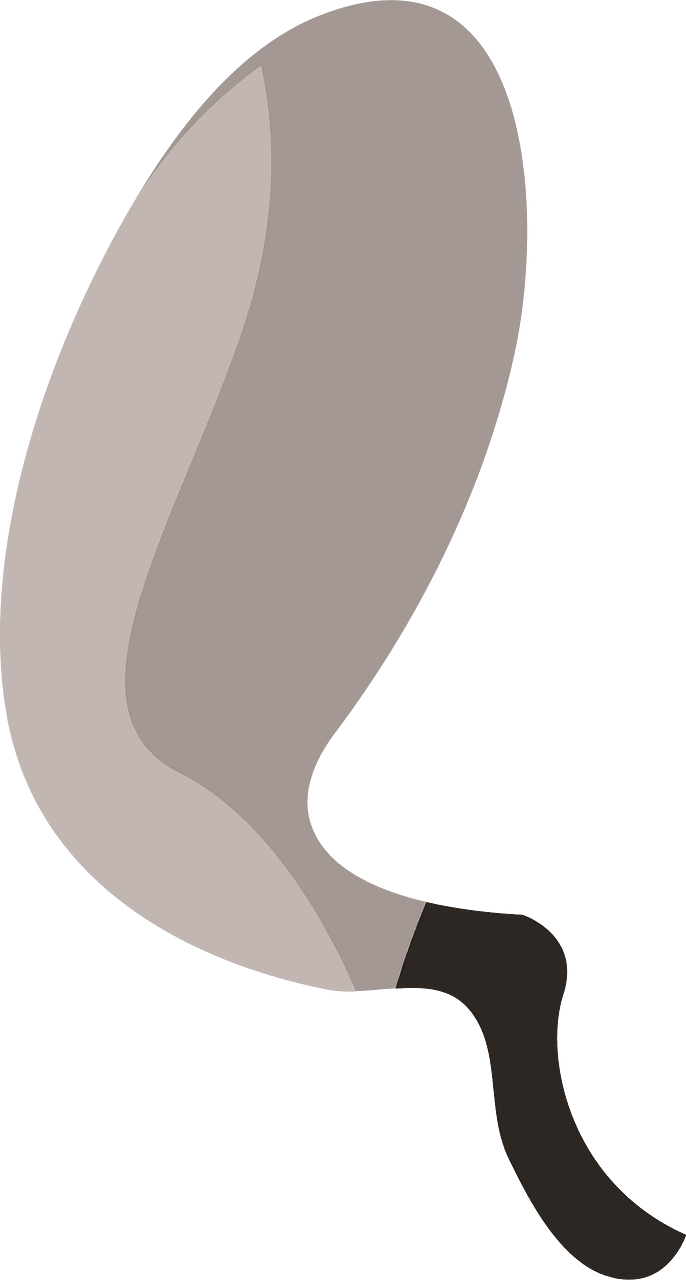 Racoon leg