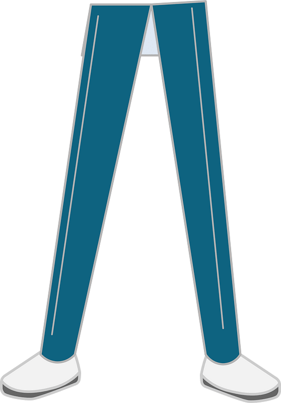 Legs
