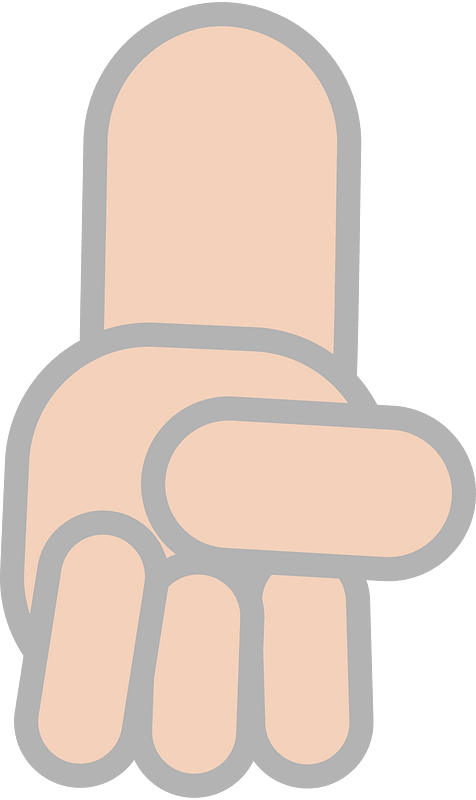 Fist