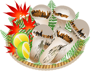 Matsutake Mushroom