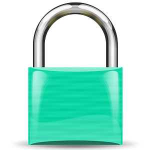 Padlock mint