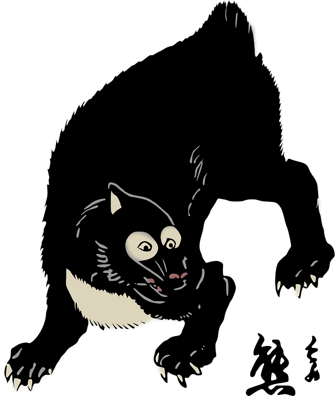 Asian Black Bear