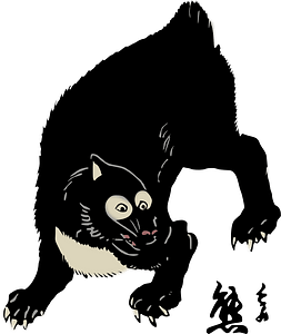 Asian Black Bear