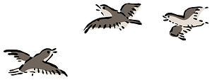 Plovers (Ukiyo-E Svg No.004)