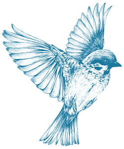 Vintage Blue Bird