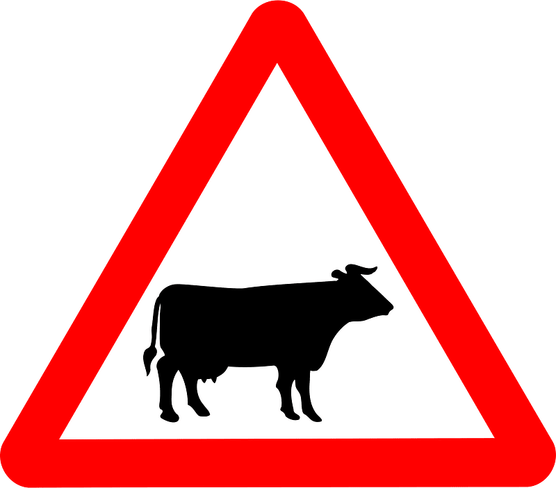Roadsign Cattle