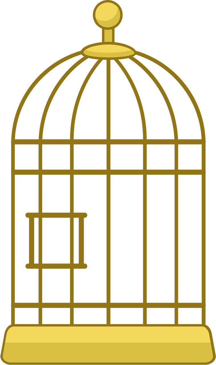 Bird cage