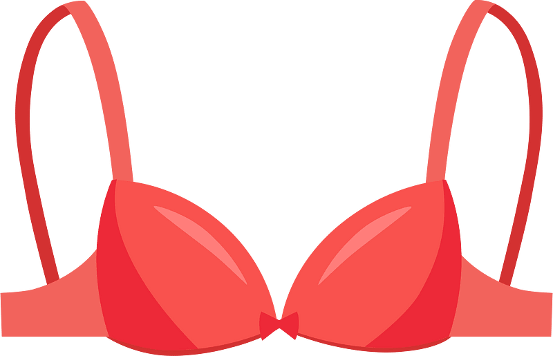 Bra