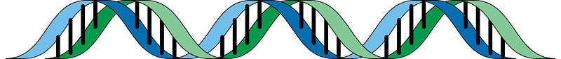 Dna