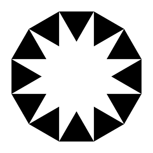 Integer Point Dodecagon
