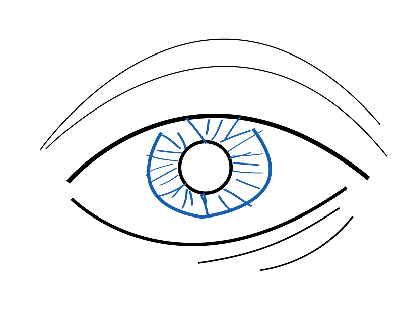 Eye