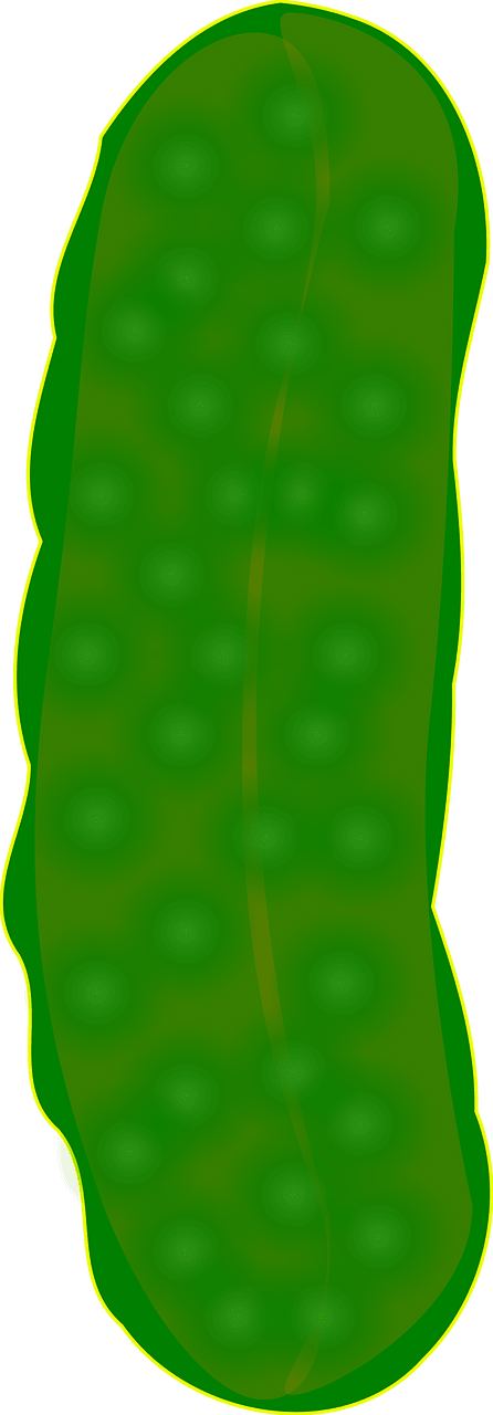 Cetriolo sottaceto
