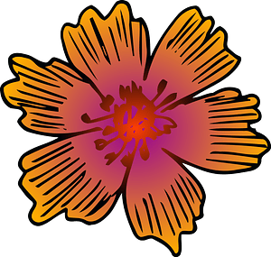 Orange flower
